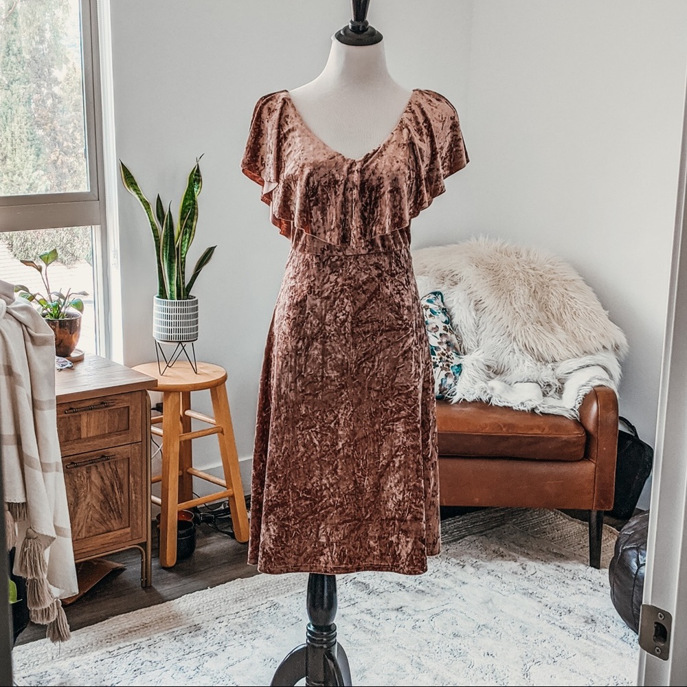 Rose Velvet Dress